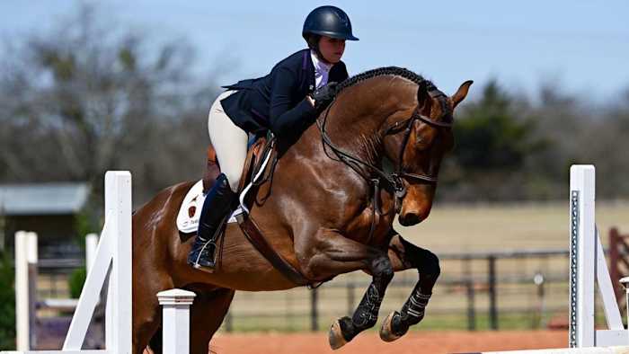TCU Equestrian